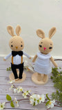 Mr and Mrs Bunnies
